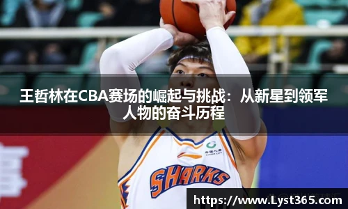 王哲林在CBA赛场的崛起与挑战：从新星到领军人物的奋斗历程